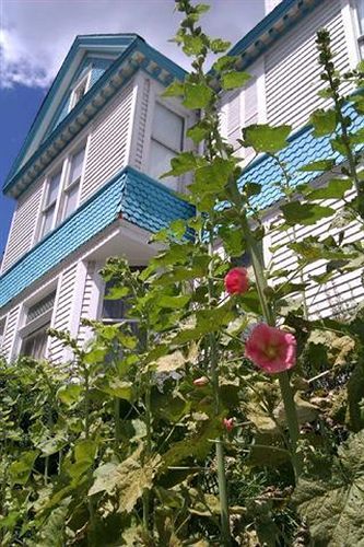 Bed and breakfast Garden House 2*